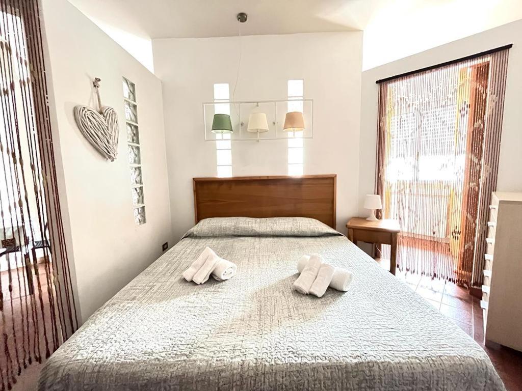 Imperiale Apartment Tirrenia Εξωτερικό φωτογραφία